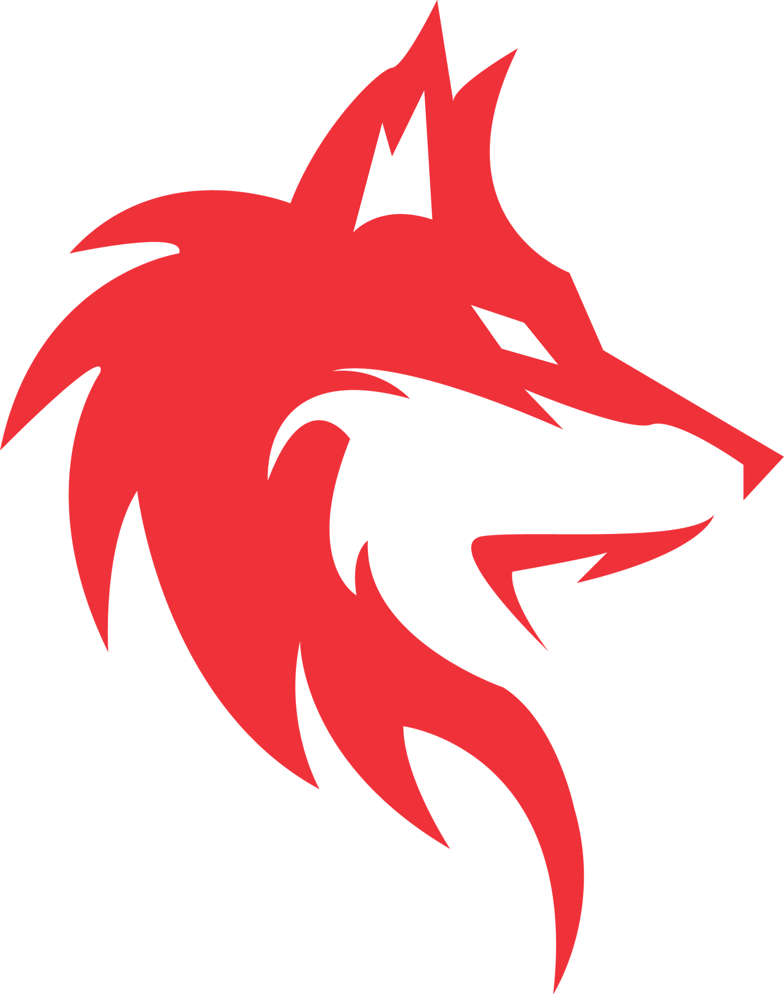 About Us | Web Wolf